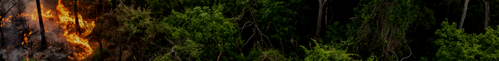 spot_img